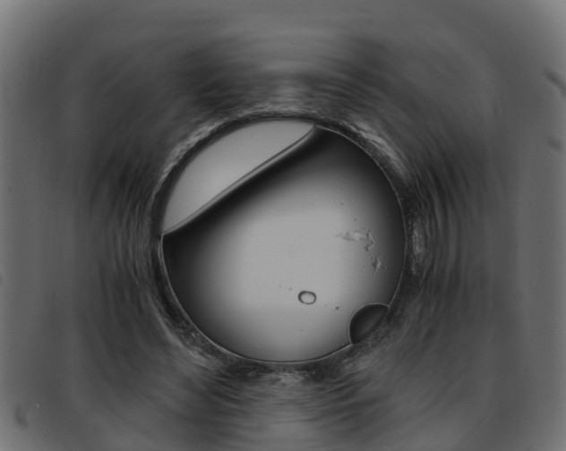 X0000093430492200710120921