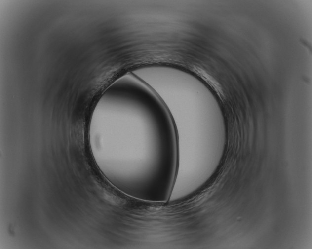 X0000093430493200710120920