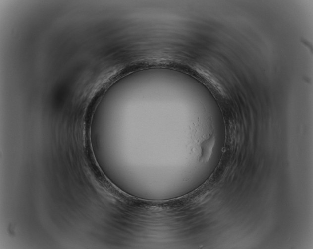X0000093430494200710120920
