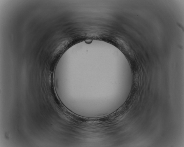 X0000093430495200710120920