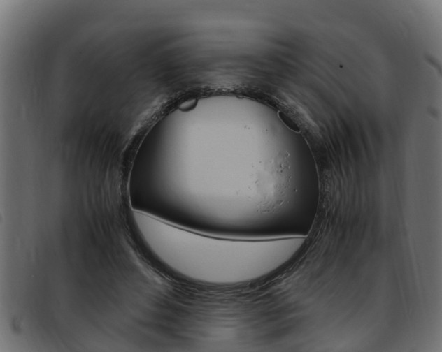 X0000093430496200710120920