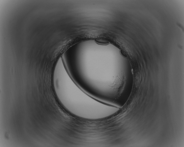 X0000093430497200710120920