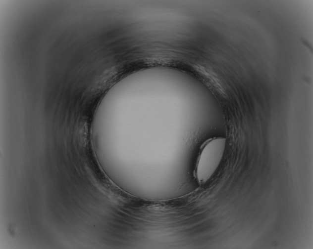 X0000093430498200710120920