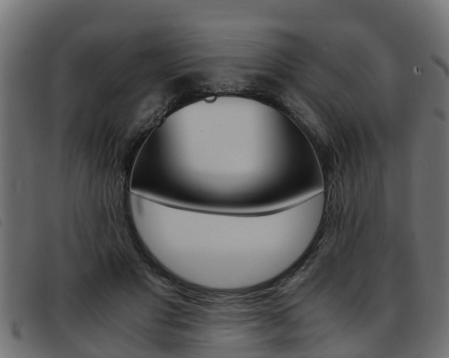 X0000093430501200710120920