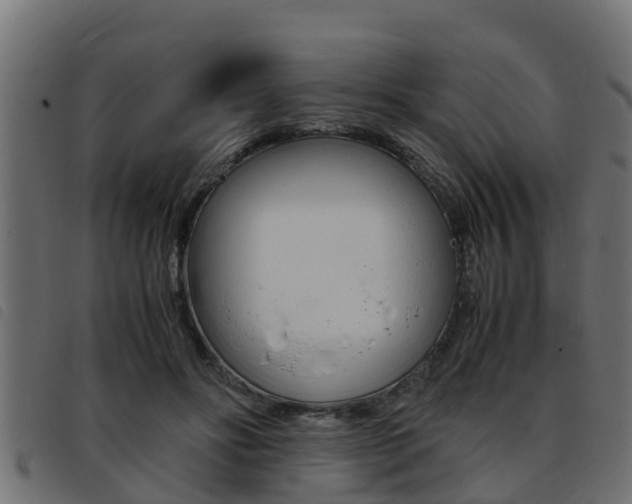 X0000093430502200710120920