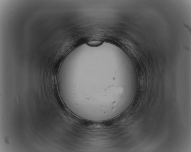 X0000093430503200710120920