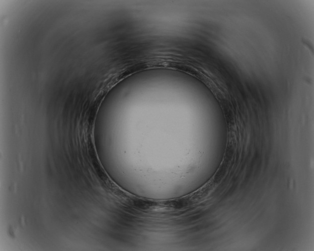 X0000093430504200710120920