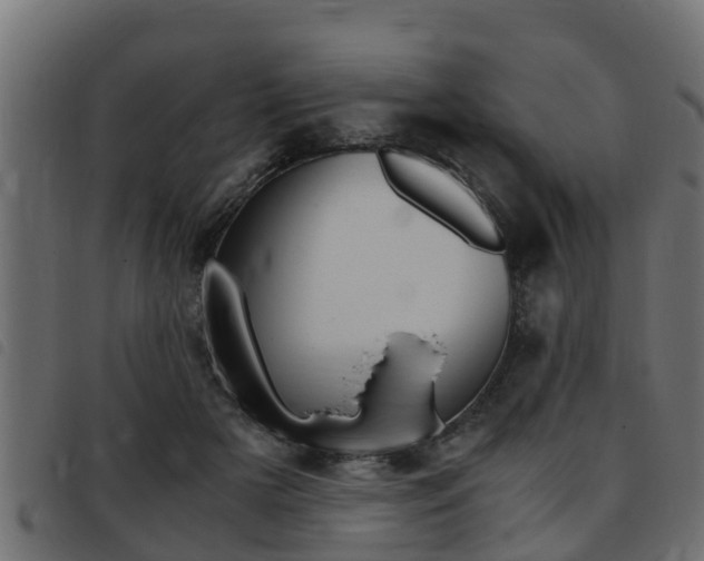 X0000093430505200710120920