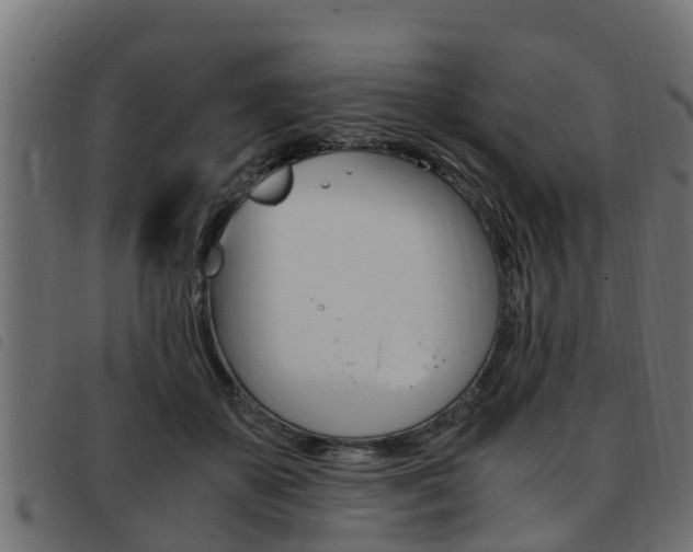 X0000093430507200710120920