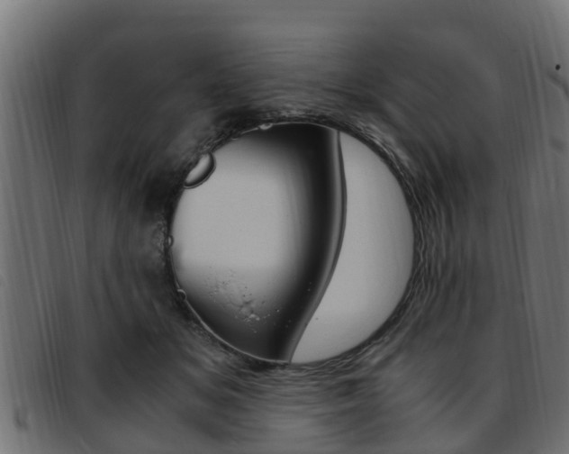 X0000093430509200710120920
