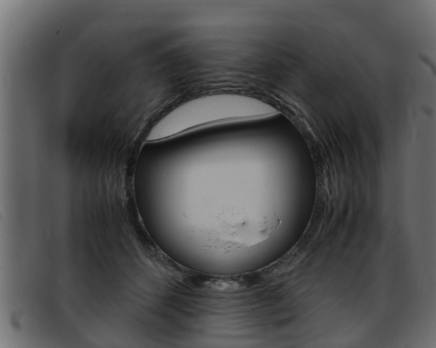 X0000093430512200710120920