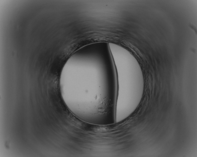X0000093430513200710120920