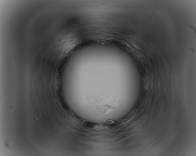 X0000093430515200710120920