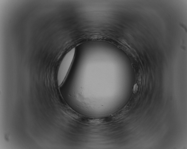 X0000093430516200710120920
