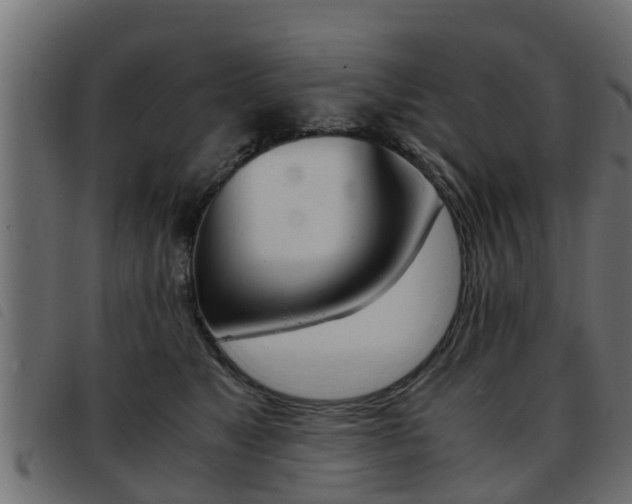X0000093430517200710120920
