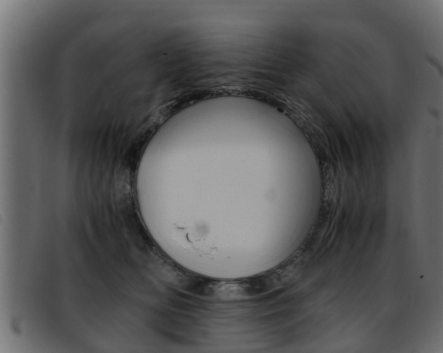 X0000093430518200710120920
