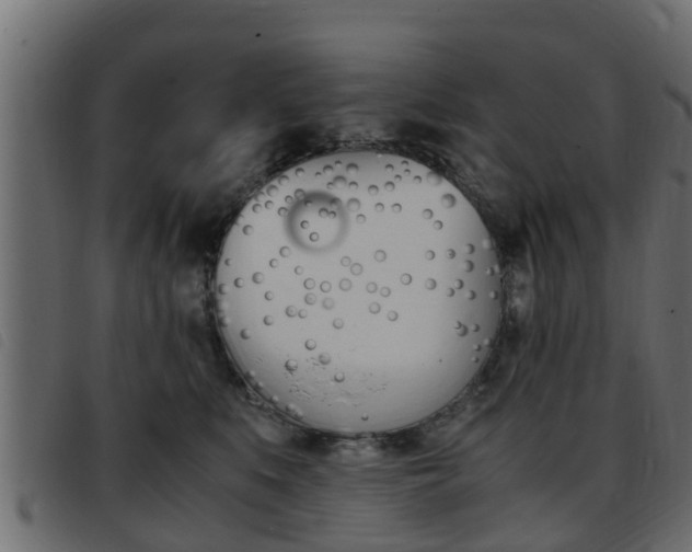 X0000093430519200710120920