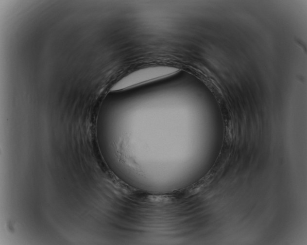 X0000093430520200710120920