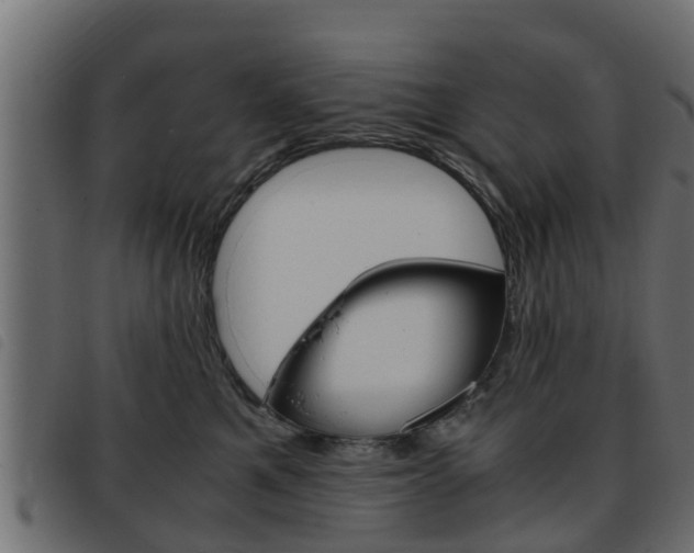 X0000093430521200710120920