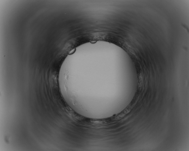 X0000093430522200710120920