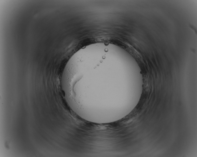 X0000093430523200710120920