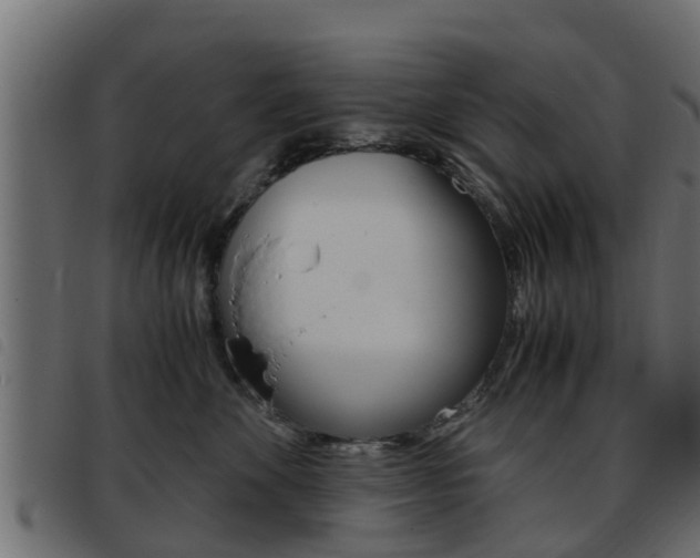 X0000093430524200710120920