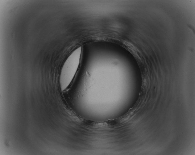 X0000093430525200710120920
