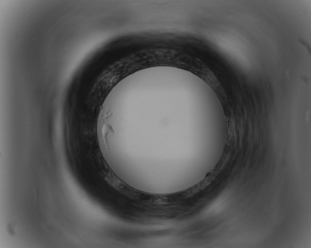 X0000093430526200710120920