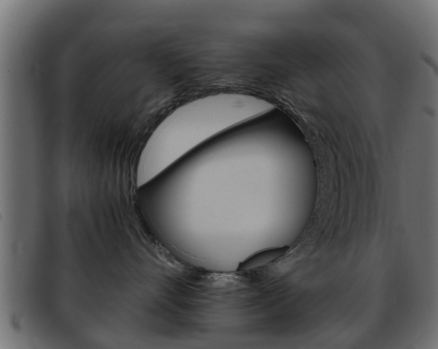 X0000093430528200710120920