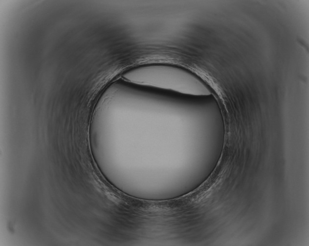 X0000093430529200710120919
