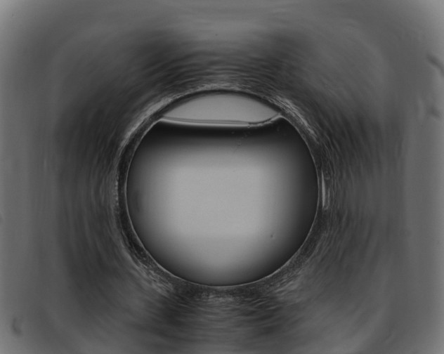 X0000093430531200710120919