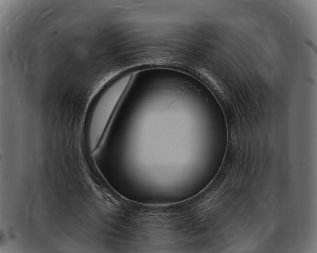 X0000093430532200710120919