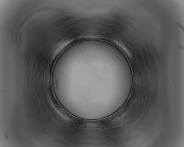 X0000093430533200710120919