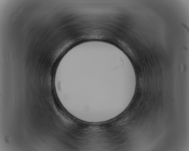 X0000093430534200710120919