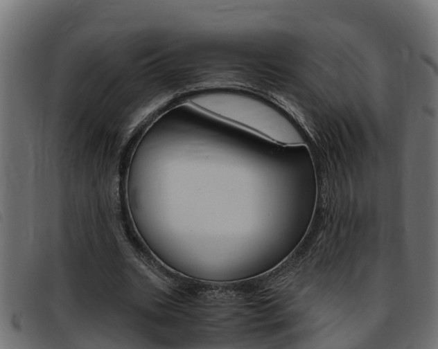 X0000093430535200710120919