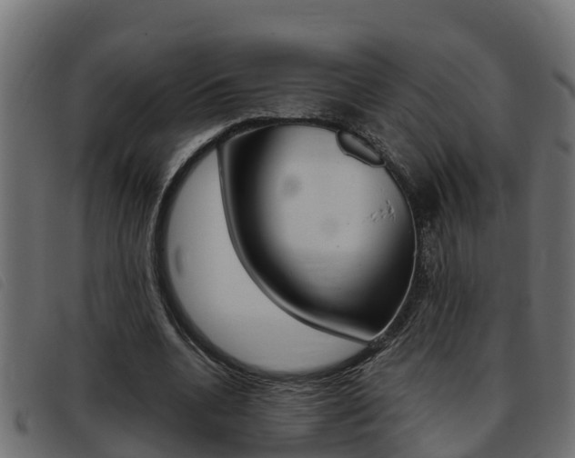 X0000093430536200710120919