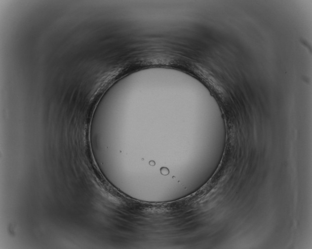 X0000093430537200710120919