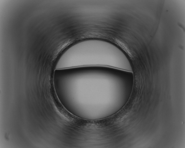X0000093430538200710120919
