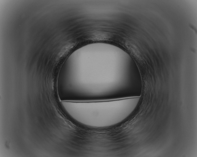 X0000093430539200710120919