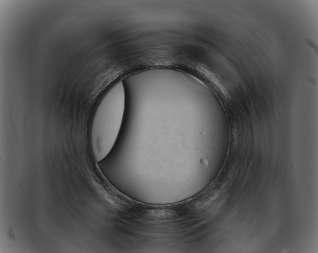 X0000093430541200710120920
