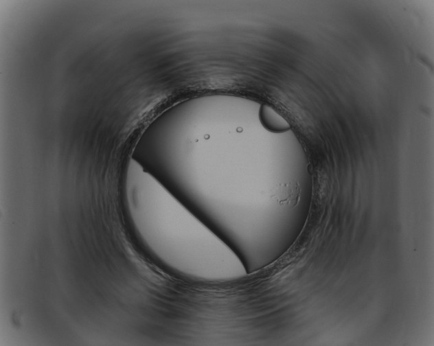 X0000093430542200710120920