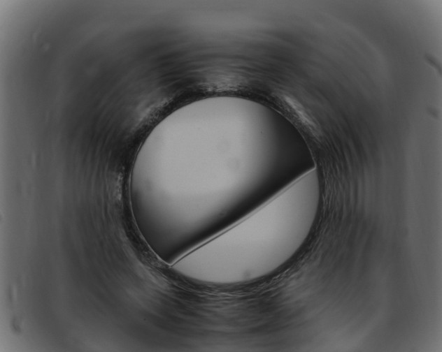 X0000093430543200710120920