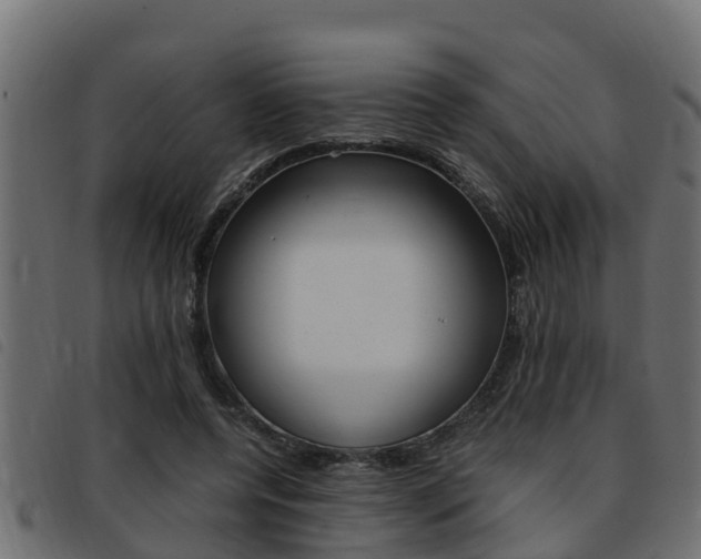 X0000093430544200710120920
