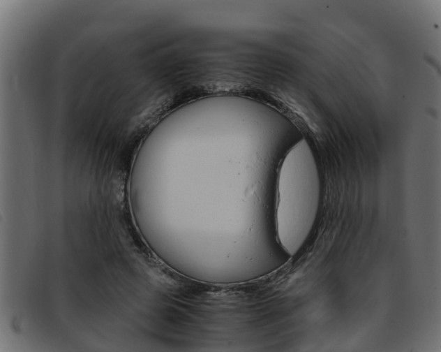 X0000093430545200710120920