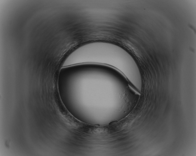 X0000093430546200710120920