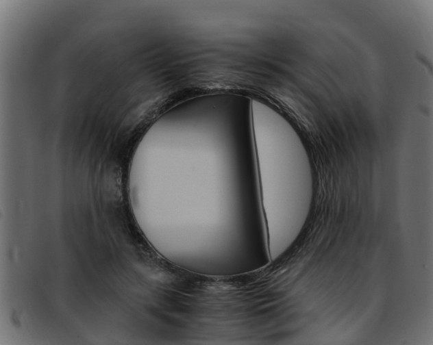 X0000093430547200710120920