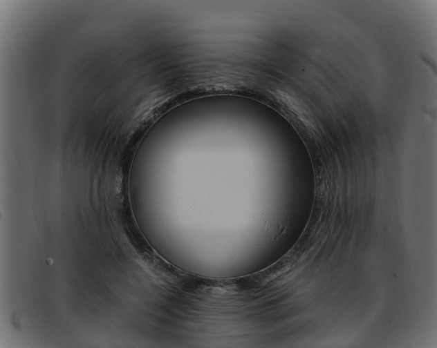 X0000093430548200710120920
