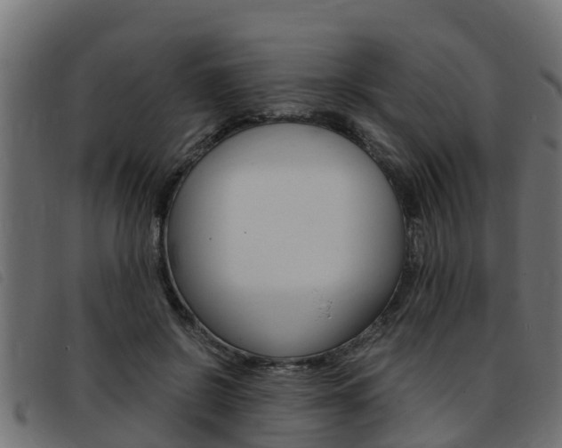 X0000093430550200710120920