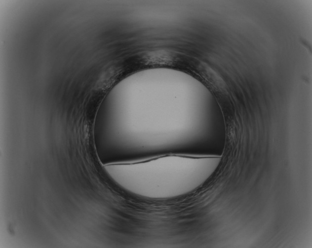 X0000093430551200710120920