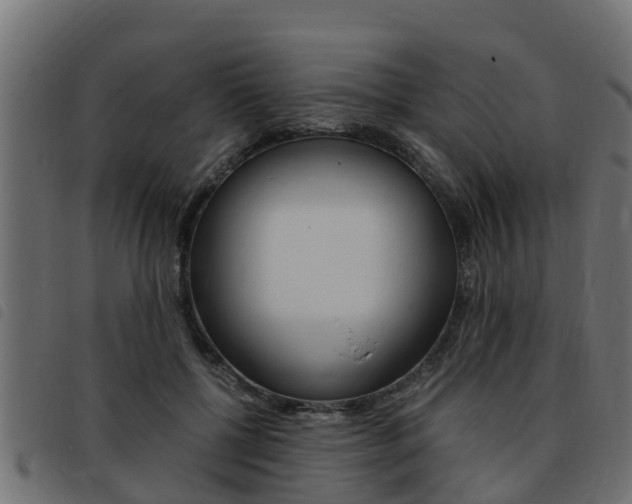 X0000093430552200710120920